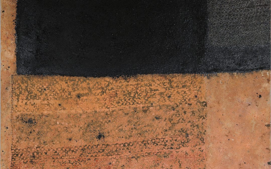 Terre impenetrabili, 2008